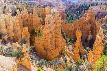 Hoodoo rock formations from the Fairyland Trail, Bryce Canyon National Park, Utah, United States of America, North America 