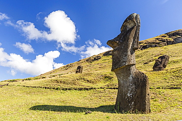 Rano Raraku, the quarry site for all moai statues on Easter Island (Isla de Pascua) (Rapa Nui), UNESCO World Heritage Site, Chile, South America