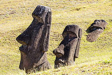 Rano Raraku, the quarry site for all moai statues on Easter Island (Isla de Pascua) (Rapa Nui), UNESCO World Heritage Site, Chile, South America