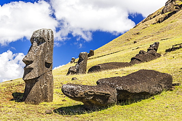 Rano Raraku, the quarry site for all moai statues on Easter Island (Isla de Pascua) (Rapa Nui), UNESCO World Heritage Site, Chile, South America