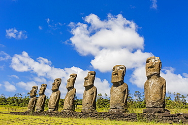 Seven Moai at Ahu Akivi, the first restored altar on Easter Island (Isla de Pascua) (Rapa Nui), UNESCO World Heritage Site, Chile, South America