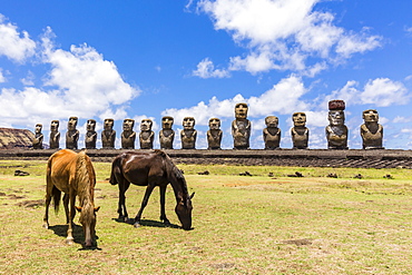 Horses grazing at the 15 moai restored ceremonial site of Ahu Tongariki on Easter Island (Isla de Pascua) (Rapa Nui), UNESCO World Heritage Site, Chile, South America