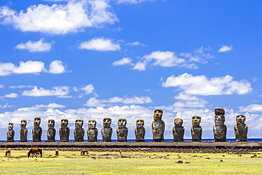 Horses grazing at the 15 moai restored ceremonial site of Ahu Tongariki on Easter Island (Isla de Pascua) (Rapa Nui), UNESCO World Heritage Site, Chile, South America