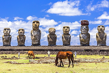 Horses grazing at the 15 moai restored ceremonial site of Ahu Tongariki on Easter Island (Isla de Pascua) (Rapa Nui), UNESCO World Heritage Site, Chile, South America