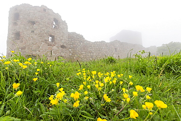 Fog shrouds Hammershus Castle on the most northerly tip of Bornholm, Denmark, Scandinavia, Europe