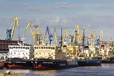 The busy shipyards in the Sea Port of St. Petersburg, on the Neva River, Russia, Europe