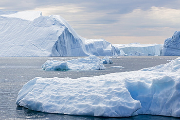 Huge icebergs calved from the Ilulissat Glacier, UNESCO World Heritage Site, Ilulissat, Greenland, Polar Regions