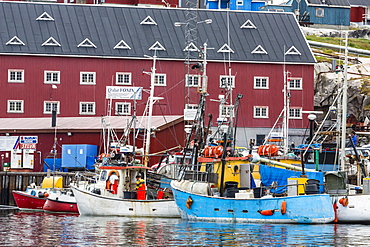 Commercial fishing and whaling boats line the busy inner harbour in the town of Ilulissat, Greenland, Polar Regions