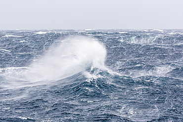 Gale force westerly winds build large waves in the Drake Passage, Antarctica, Polar Regions