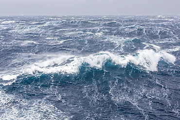 Gale force westerly winds build large waves in the Drake Passage, Antarctica, Polar Regions