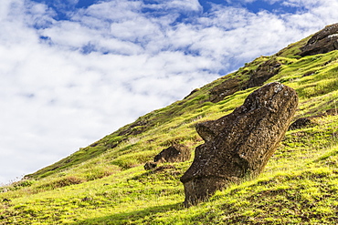 Moai sculptures in various stages of completion at Rano Raraku, the quarry site for all moai on Easter Island, Rapa Nui National Park, UNESCO World Heritage Site, Easter Island (Isla de Pascua), Chile, South America