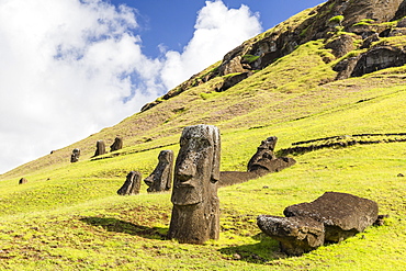 Moai sculptures in various stages of completion at Rano Raraku, the quarry site for all moai on Easter Island, Rapa Nui National Park, UNESCO World Heritage Site, Easter Island (Isla de Pascua), Chile, South America