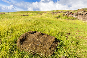 Fallen moai head at the archaeological site at Ahu Vinapu, Rapa Nui National Park, UNESCO World Heritage Site, Easter Island (Isla de Pascua), Chile, South America