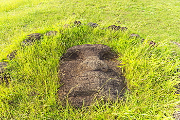 Fallen moai head at the archaeological site at Ahu Vinapu, Rapa Nui National Park, UNESCO World Heritage Site, Easter Island (Isla de Pascua), Chile, South America