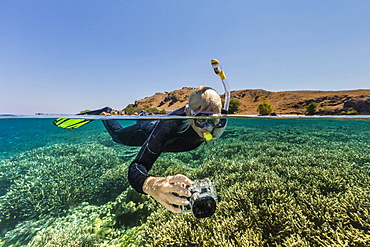 Snorkeler on the house reef at Komodo Diving Resort, Sebayur Island, Komodo Island National Park, Indonesia, Southeast Asia, Asia