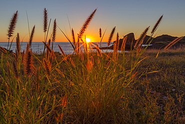 Sunset along the shoreline at Himalaya Beach, Sonora, Mexico, North America