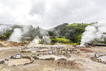 Furnas Valley, a site of bubbling hot springs and fumaroles on the Azorean capital island of Sao Miguel, Azores, Portugal, Europe