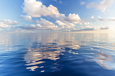 Reflected clouds in calm seas near the island of Deserta Grande, in the Ilhas Desertas, near Funchal, Madeira, Portugal, Atlantic, Europe