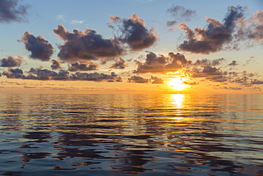 Sunset near the island of Deserta Grande, Ilhas Desertas, Madeira, Portugal, Atlantic, Europe