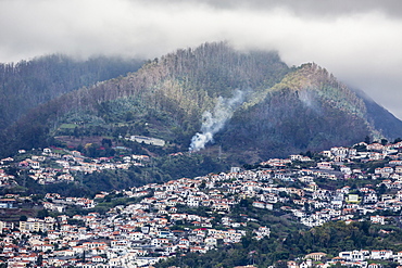 Waterfront view of the heart of the capital city of Funchal, Madeira, Portugal, Atlantic, Europe