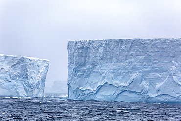 Huge tabular icebergs broken off from B-17A Iceberg near Cooper Bay, South Georgia, UK Overseas Protectorate, Polar Regions