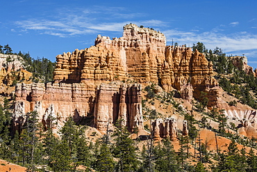 View of hoodoo formations from the Fairyland Trail in Bryce Canyon National Park, Utah, United States of America, North America