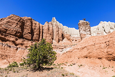 Red rock sandstone formations on the Grand Parade Trail, Kodachrome Basin State Park, Utah, United States of America, North America