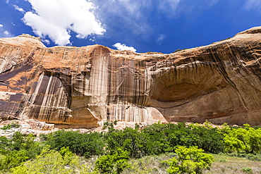 Navajo sandstone in Lower Calf Creek Falls Trail, Grand Staircase-Escalante National Monument, Utah, United States of America, North America