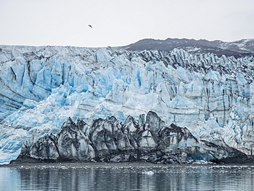 Lamplugh Glacier, a tidewater glacier in Glacier Bay National Park and Preserve, Southeast Alaska, United States of America, North America