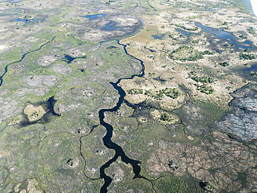 Aerial view of the Okavango Delta during drought conditions in early fall, Botswana, Africa