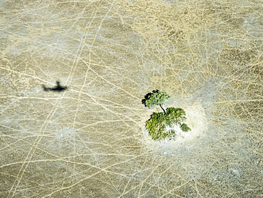 Aerial view of the Okavango Delta during drought conditions in early fall, Botswana, Africa