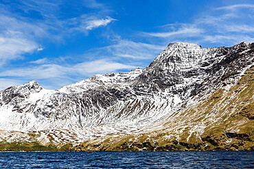 Fresh dusting of snow on the mountains surrounding Godthul, South Georgia, UK Overseas Protectorate, Polar Regions