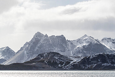 A fresh dusting of snow covers the mountains surrounding Salisbury Plain, South Georgia, UK Overseas Protectorate, Polar Regions