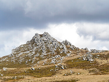 Mount Williams, site of the Falkland Conflict in June 1982, Falkland Islands, South America