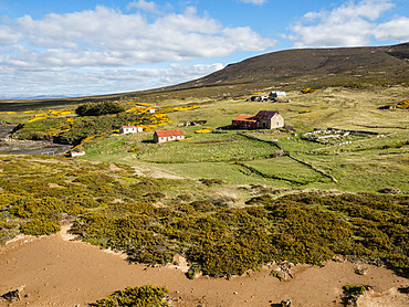 View of the sheep settlement abandoned in 1992 on Keppel Island, Falkland Islands, South America