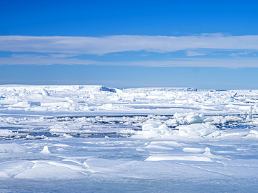 Sea ice hummocks and floes in Erebus and Terror Gulf, Weddell Sea, Antarctica, Polar Regions