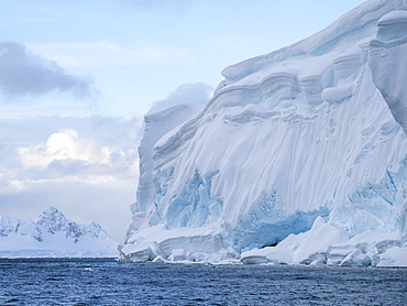 Ice covered shoreline in Wilhamena Bay, Antarctica, Polar Regions