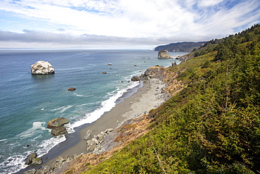 The rugged coastline along Highway 101 near Klamath, California, United States of America, North America