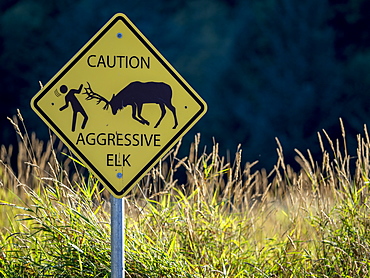 Caution sign on the Lady Bird Johnson Trail in Redwood National Park, UNESCO World Heritage Site, California, United States of America, North America