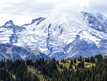 Early light on Mount Rainier from the Burroughs Mountain Trail, Mount Rainier National Park, Washington State, United States of America, North America