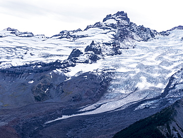 Early light on Mount Rainier from the Burroughs Mountain Trail, Mount Rainier National Park, Washington State, United States of America, North America