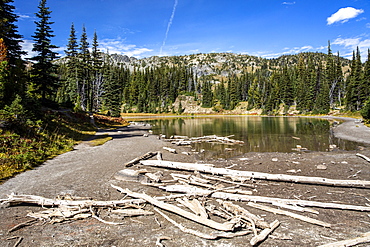 Meltwater lake on Mount Rainier from the Burroughs Mountain Trail, Mount Rainier National Park, Washington State, United States of America, North America