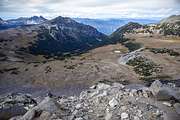 Early light on Mount Rainier from the Burroughs Mountain Trail, Mount Rainier National Park, Washington State, United States of America, North America