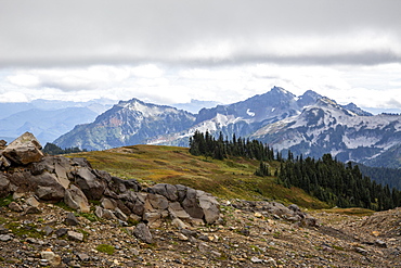 View of the Deadhorse Creek Trail, Mount Rainier National Park, Washington State, United States of America, North America