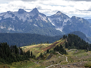 Views from the Skyline Trail of Mount Rainier National Park, Washington State, United States of America, North America