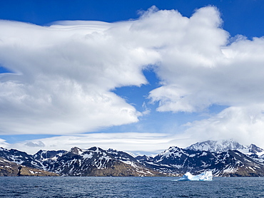 Large iceberg in the entrance of St. Andrews Bay, South Georgia, Polar Regions