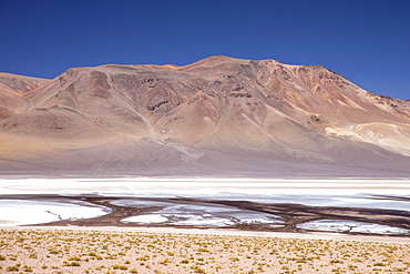 Laguna Tara, Los Flamencos National Reserve, San Pedro de Atacama, Antofagasta Region, Chile, South America