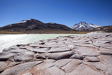 Salar de Aguas Calientes, Los Flamencos National Reserve, Antofagasta Region, Chile, South America