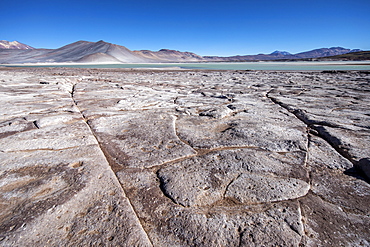 Salar de Aguas Calientes, Los Flamencos National Reserve, Antofagasta Region, Chile, South America