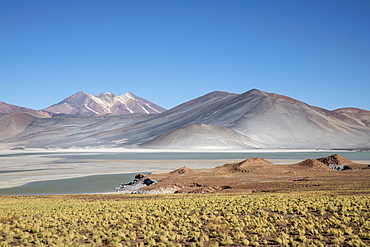 Salar de Aguas Calientes, Los Flamencos National Reserve, Antofagasta Region, Chile, South America